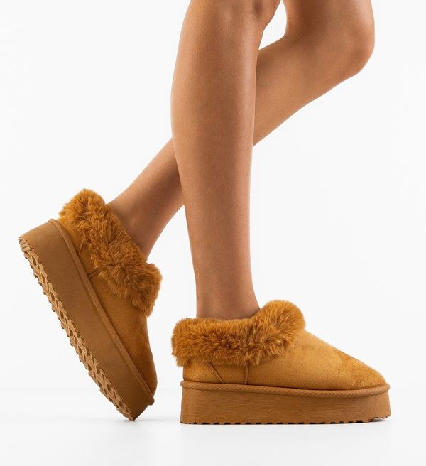 Ali Ботуши Jaden Камел