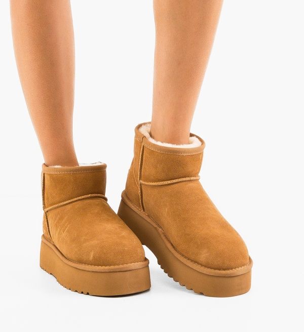 Tony Ботуши Vinnik Камел