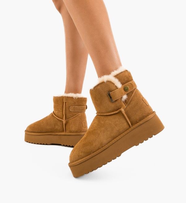 Tony Ботуши Werrka Камел