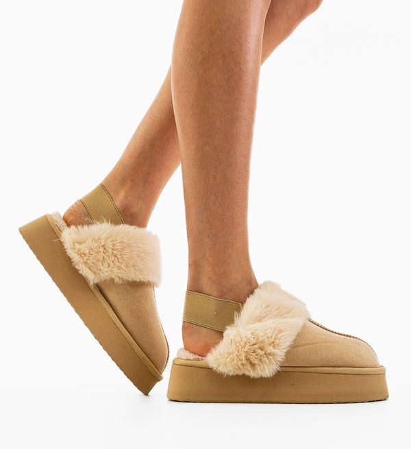 Ali Чехли Lina Бежов