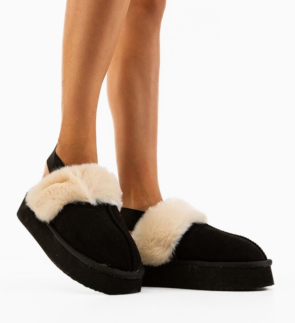 Ali Чехли Lina Черни