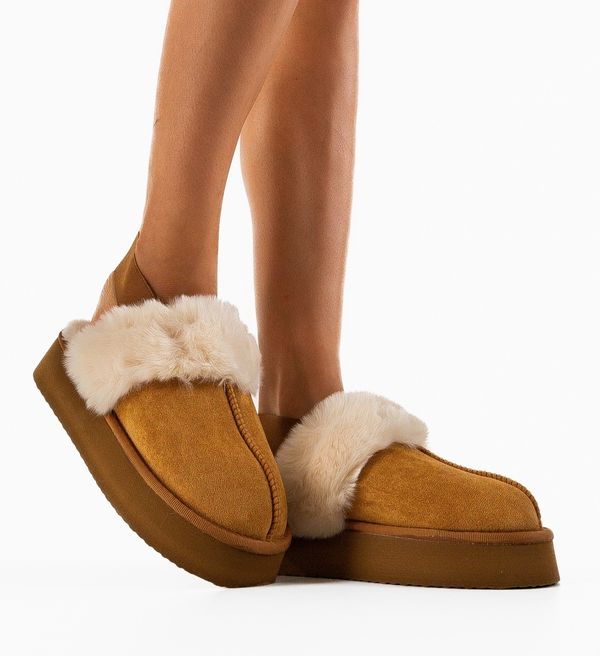 Ali Чехли Lina Камел