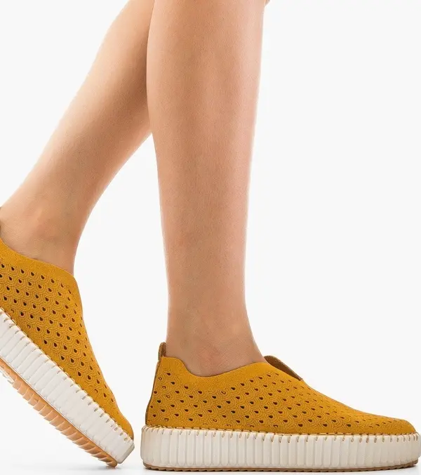 Ali Ежедневни Berrt Камел