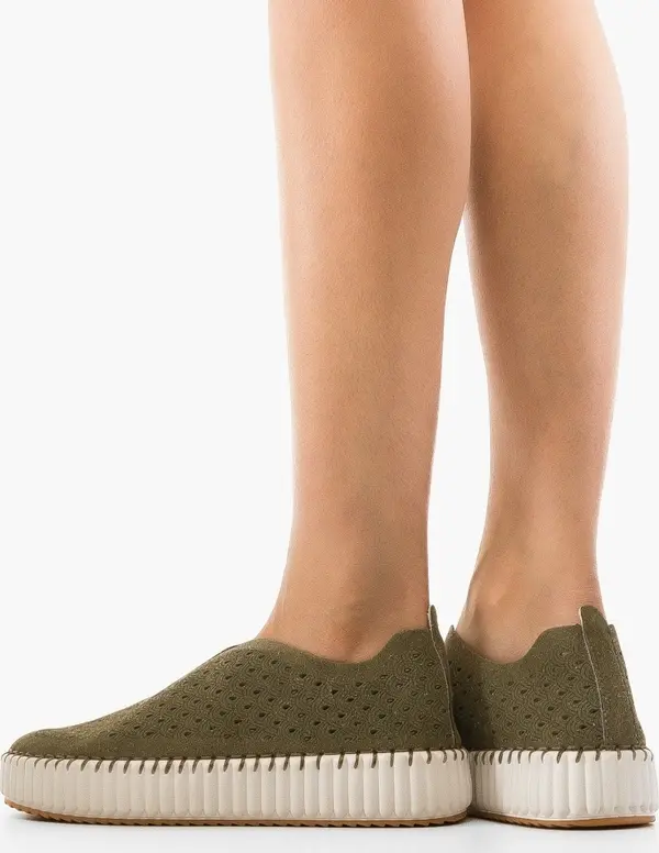 Ali Ежедневни Berrt Зелени