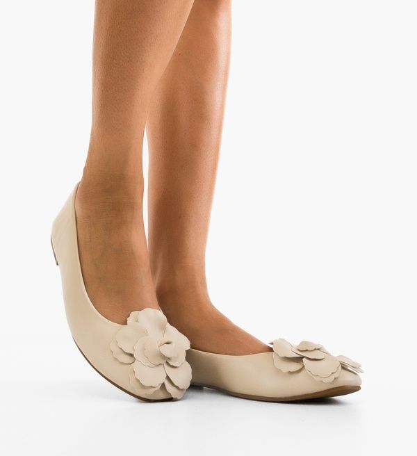 Ali Ежедневни Dawi Бежов