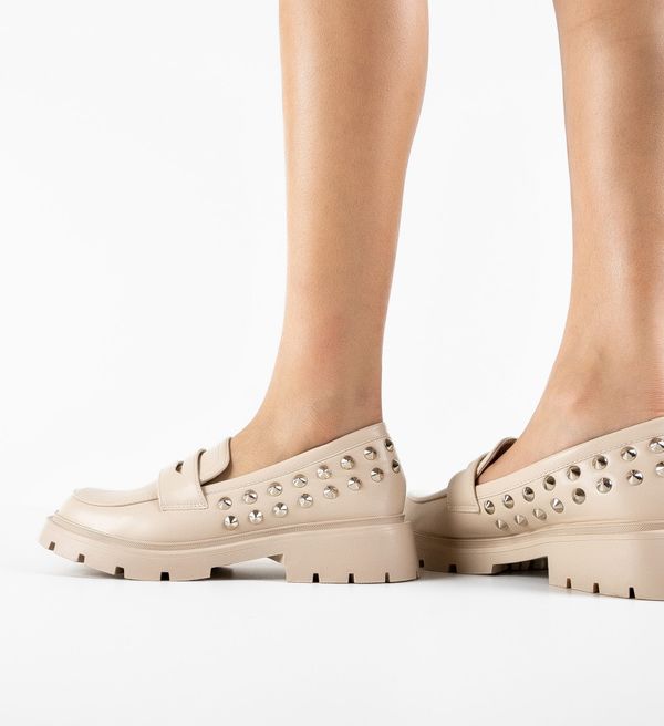 Ali Ежедневни Roac Бежов