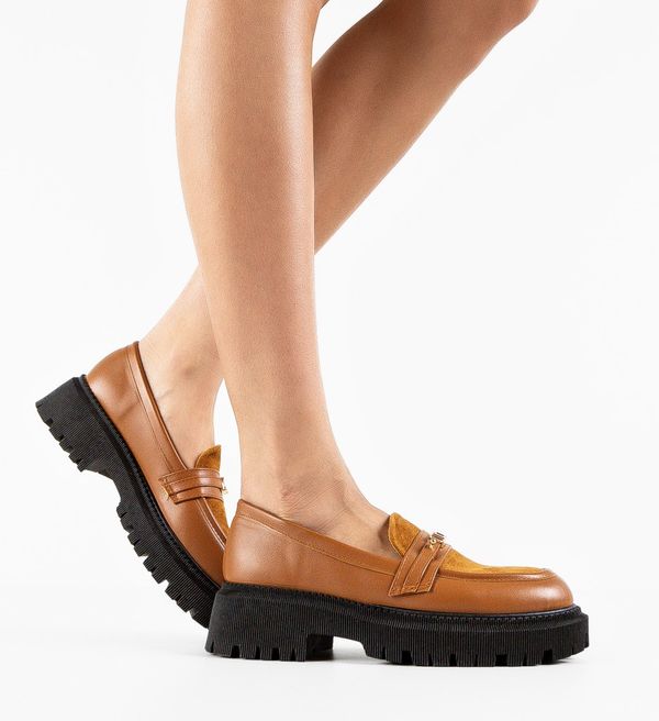 Ali Ежедневни Solis Камел