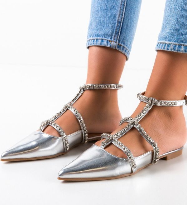 Ali Ежедневни Tierney Сребърни