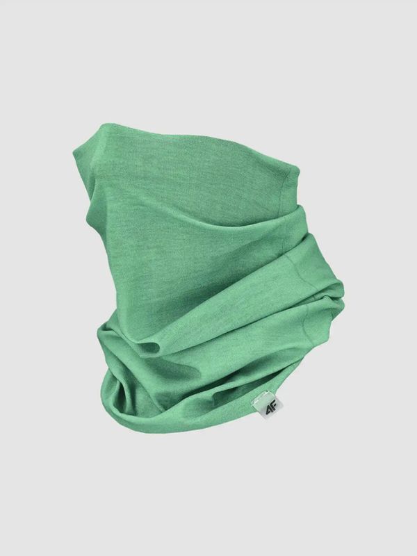 4F 4F Шалче Zelen