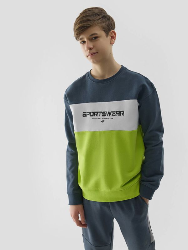 4F 4F Суитшърт детски Zhalt