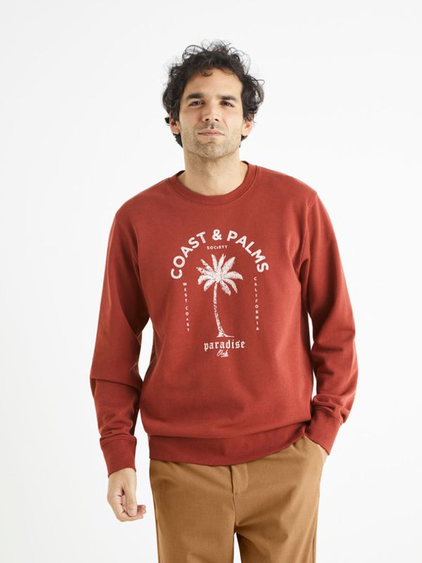Celio Celio Begrif Sweatshirt Cherven