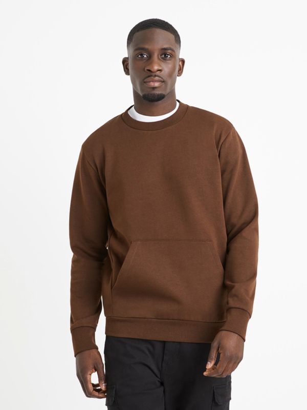 Celio Celio Vepocho Sweatshirt Kafyav