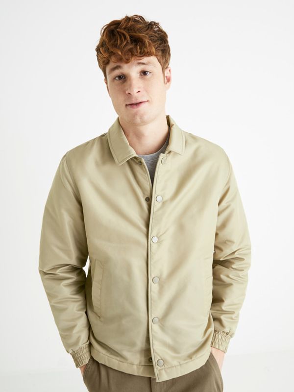 Celio Celio Яке Zelen