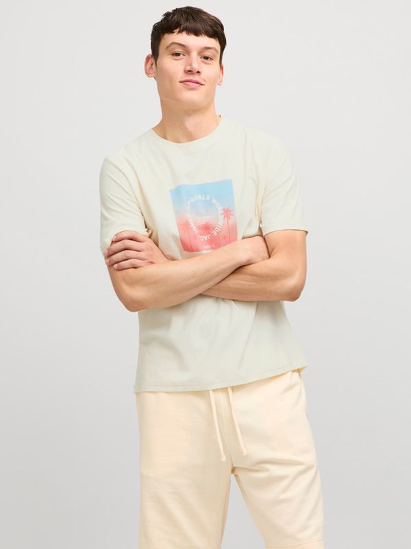 Jack & Jones Jack & Jones Aruba T-shirt Bezhov
