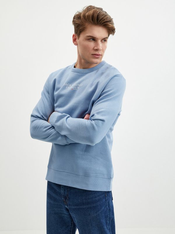 Jack & Jones Jack & Jones Bluarchie Sweatshirt Sin
