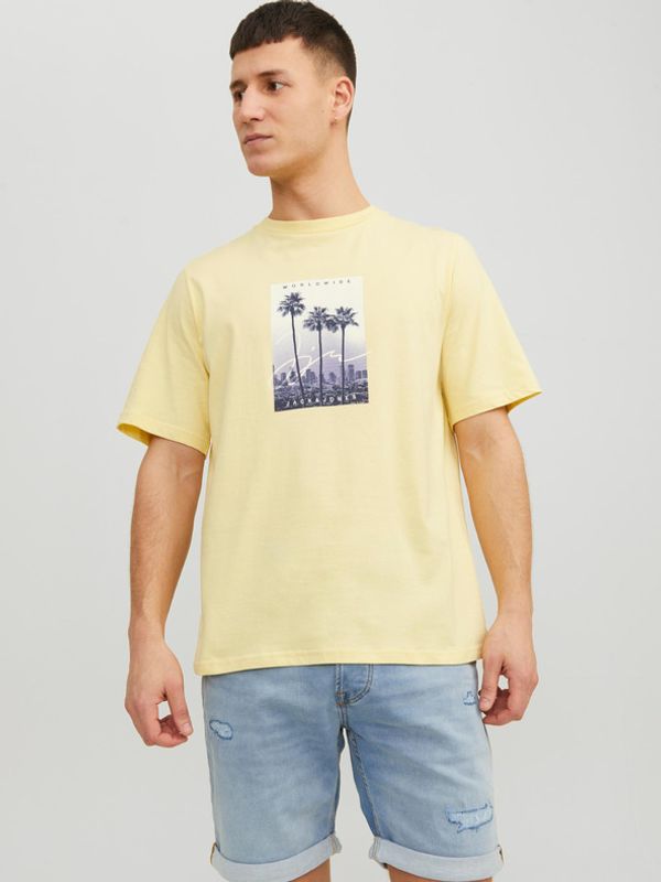 Jack & Jones Jack & Jones Splash T-shirt Zhalt