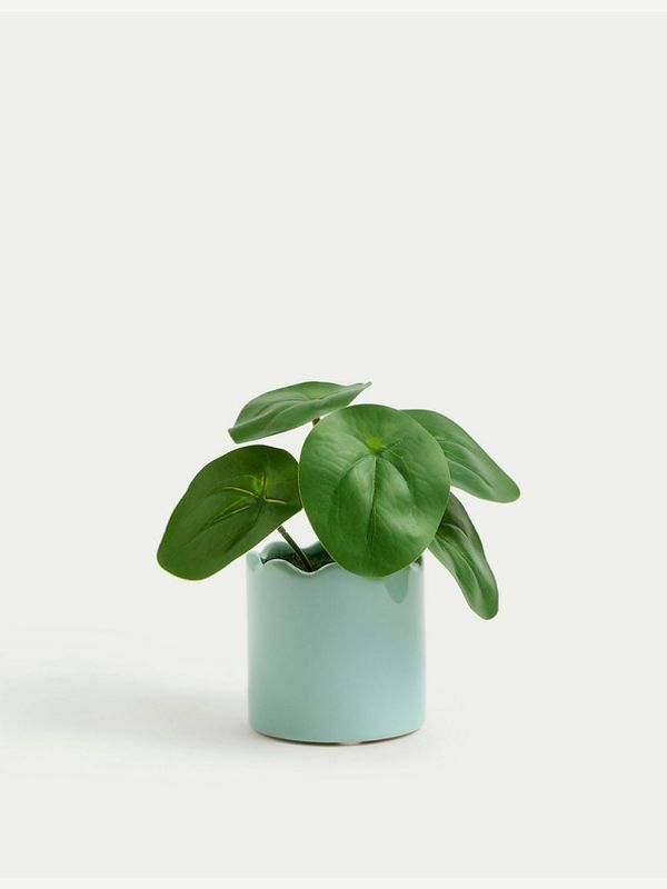 Marks & Spencer Marks & Spencer Pilea Саксия Sin