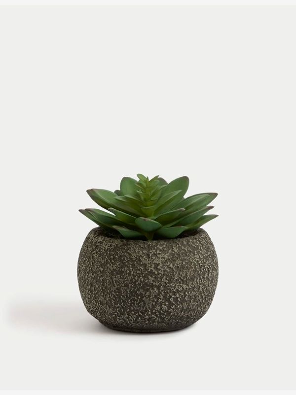 Marks & Spencer Marks & Spencer Саксия Zelen