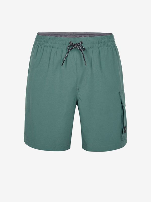 O'Neill O'Neill All Day Swimsuit Zelen