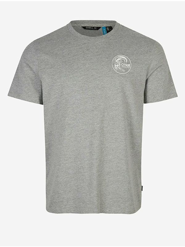 O'Neill O'Neill Circle Surfer T-shirt Siv
