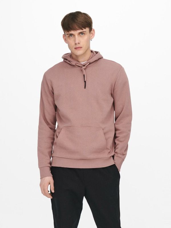 ONLY & SONS ONLY & SONS Ceres Sweatshirt Rozov