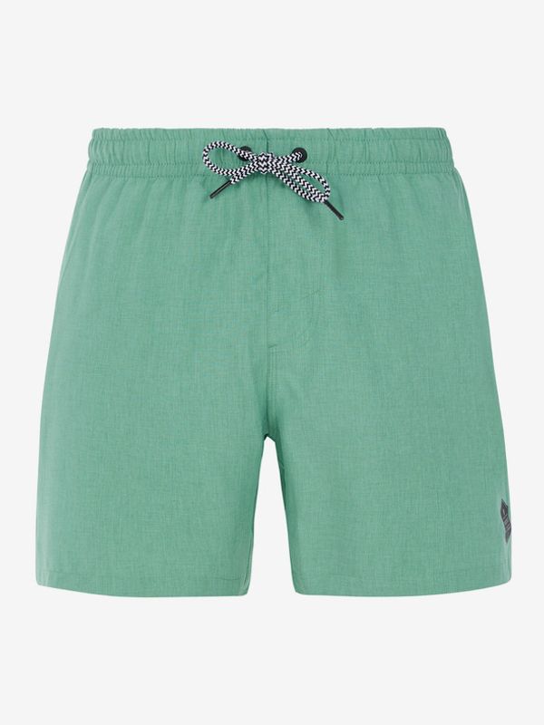 Protest Protest DAVEY Къси панталони Zelen