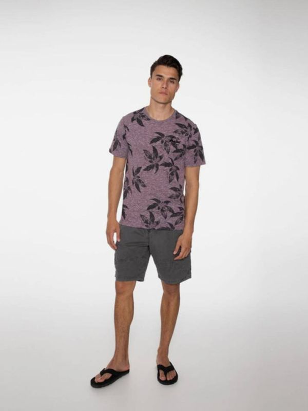 Protest Protest PACKWOOD Къси панталони Siv