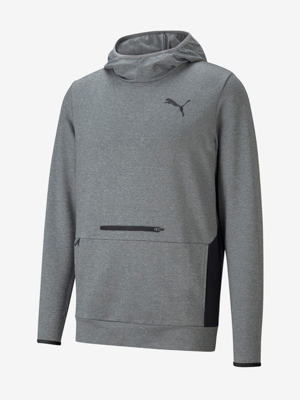 Puma Puma RTG Hoodie Sweatshirt Siv