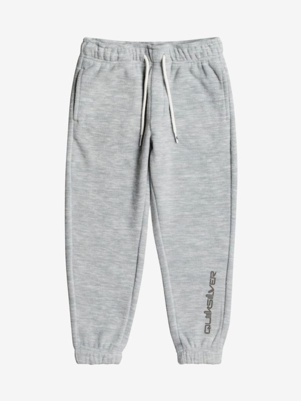 Quiksilver Quiksilver Esspolart Долнище детско Siv