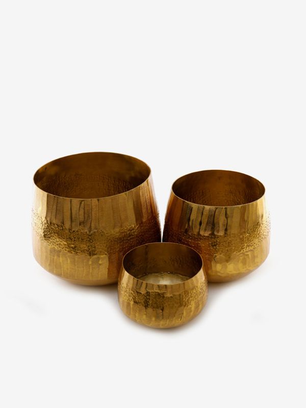 SIFCON SIFCON Саксия 3 бр Zlaten