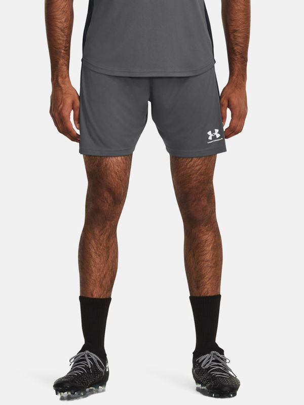 Under Armour Under Armour Къси панталони Siv