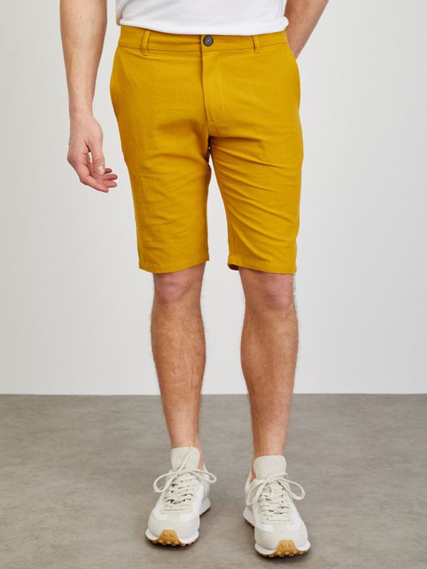 ZOOT.lab ZOOT.lab Gavin Къси панталони Zhalt